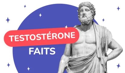 La testostérone caractères sexuels masculins